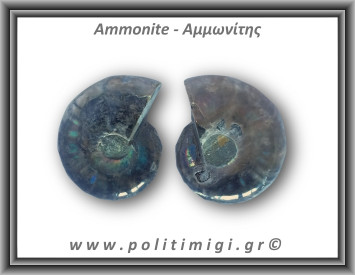 Αμμωνίτης Ζευγάρι 22,8gr 3x3cm