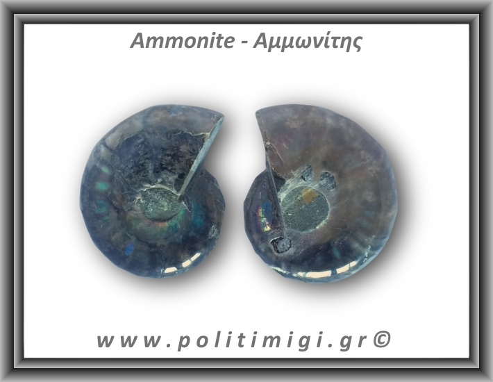 Αμμωνίτης Ζευγάρι 22,8gr 3x3cm