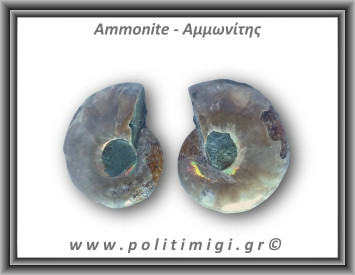 Αμμωνίτης Ζευγάρι 22gr 3x2cm