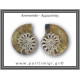 Αμμωνίτης Ζευγάρι 23,1gr 3x2cm