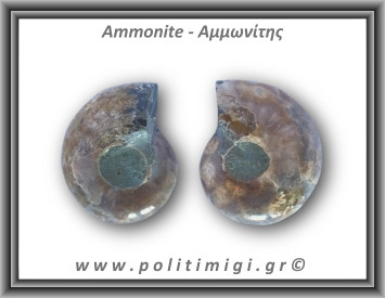 Αμμωνίτης Ζευγάρι 23,1gr 3x2cm