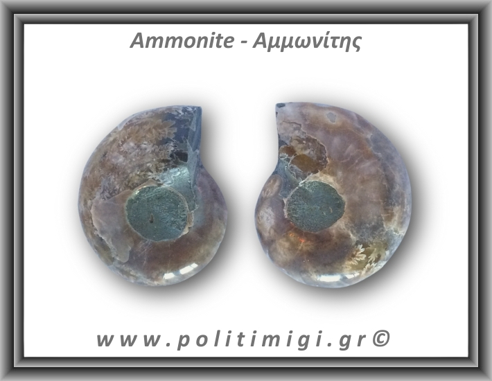 Αμμωνίτης Ζευγάρι 23,1gr 3x2cm