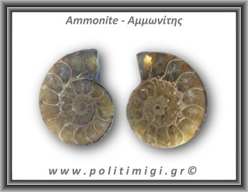 Αμμωνίτης Ζευγάρι 24,1gr 3x2cm