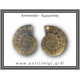 Αμμωνίτης Ζευγάρι 24,1gr 3x2cm