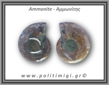Αμμωνίτης Ζευγάρι 24,1gr 3x2cm