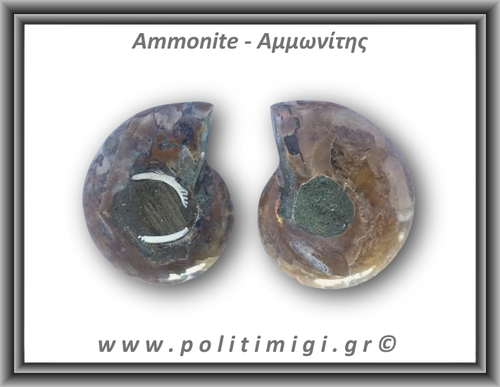 Αμμωνίτης Ζευγάρι 24,1gr 3x2cm
