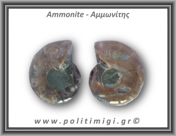 Αμμωνίτης Ζευγάρι 24,7gr 3x2cm