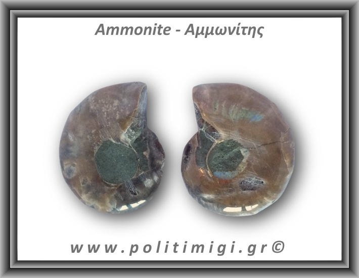 Αμμωνίτης Ζευγάρι 24,7gr 3x2cm