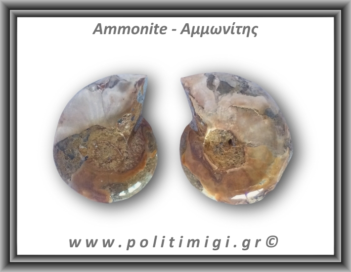 Αμμωνίτης Ζευγάρι 26gr 3x3cm