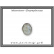 Φεγγαρόπετρα Δαχτυλίδι 7,75gr 2x1,6cm σε κράμα ορείχαλκου Νο52 Φεγγαρόπετρα Δαχτυλίδι 7,75gr 2x1,6cm σε κράμα ορείχαλκου Νο52