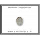 Φεγγαρόπετρα Δαχτυλίδι 7,09gr 2,1x1,5cm σε κράμα ορείχαλκου Νο52,5 Φεγγαρόπετρα Δαχτυλίδι 7,09gr 2,1x1,5cm σε κράμα ορείχαλκου Νο52,5