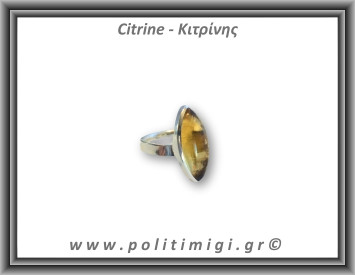 Κιτρίνης Δαχτυλίδι 10,2gr 2,9x1,3cm One Size Ασήμι 925