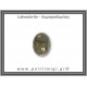 Λαμπραδορίτης Δαχτυλίδι 8,8gr 2,5x1,8cm σε κράμα ορείχαλκου Νο52 Λαμπραδορίτης Δαχτυλίδι 8,8gr 2,5x1,8cm σε κράμα ορείχαλκου Νο52