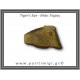 Μάτι Τίγρης Ακατέργαστο 315,6gr 8,5cm