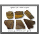 Μάτι Τίγρης Ακατέργαστο 71-75gr 4-6,5cm