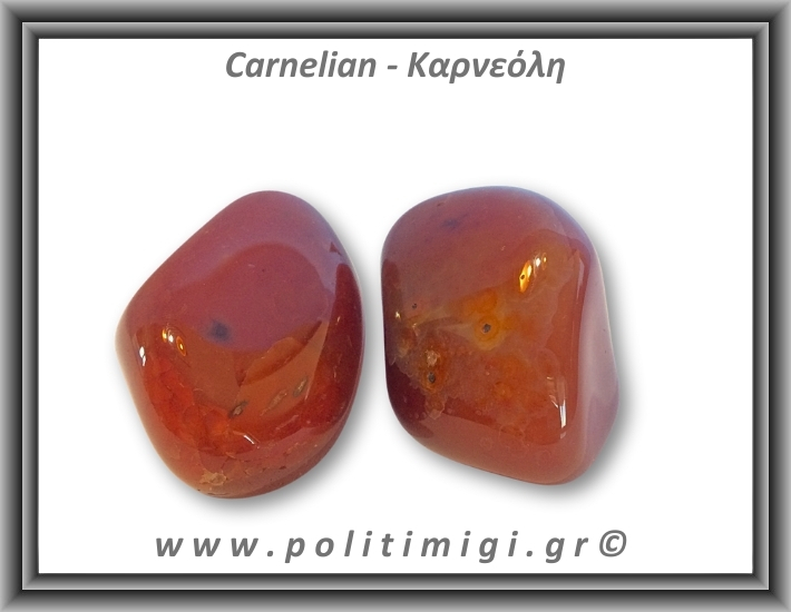 Καρνεόλη Βότσαλο Giga >50gr 5-7cm Καρνεόλη Βότσαλο Giga >50gr 5-7cm