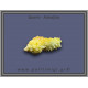 Χαλαζίας Σύμπλεγμα Κίτρινος 82,2gr 6x2cm
