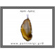 Αχάτης Καφέ Μενταγιόν Φέτα 8,65gr 5,3cm 