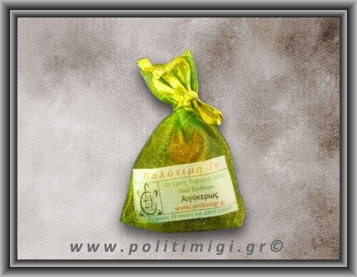 10 Αιγόκερως 22/12 έως 19/1 ΑΤΟΜΙΚΟ