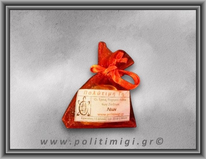 05 Λέων 23/7 έως 23/8 ΠΑΙΔΙΚΟ