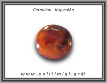 Καρνεόλη Palm Stone 134,5gr 6x5,5cm