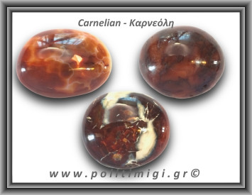 Καρνεόλη Palm Stone 161-165gr 5,5-6,5cm