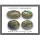 Λαμπραδορίτης Palm Stone 61-65gr 5-6cm