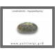 Λαμπραδορίτης Palm Stone 76-80gr 5,3-6cm