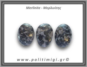 Μερλινίτης Palm Stone 46-50gr 3,5-5cm