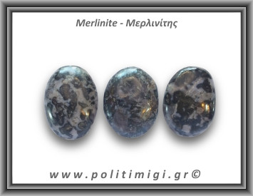 Μερλινίτης Palm Stone 61-65gr 5cm