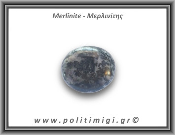 Μερλινίτης Palm Stone 92,49gr 6x5cm