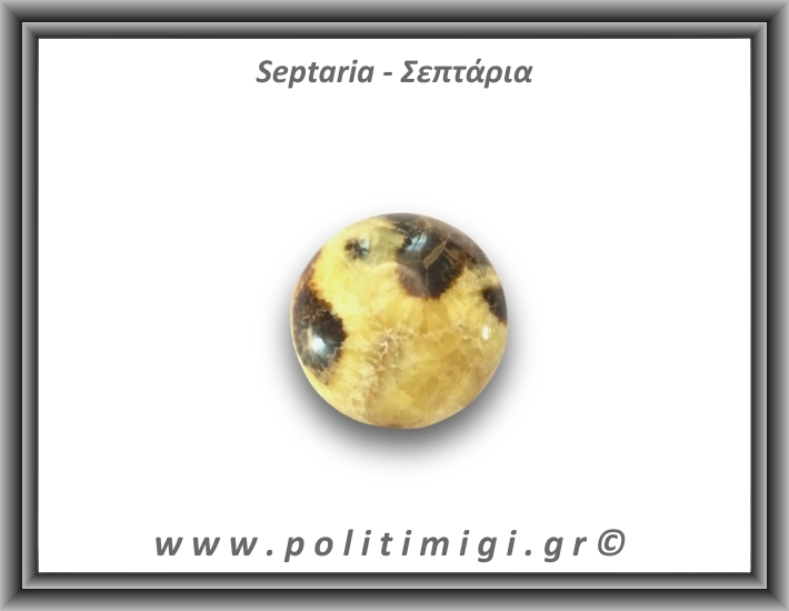 Α-Σεπτάρια Palm Stone 111,6gr 4,5cm