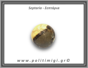 Α-Σεπτάρια Palm Stone 111,6gr 4,5cm