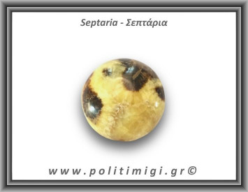 Σεπτάρια Palm Stone 111,6gr 4,5cm