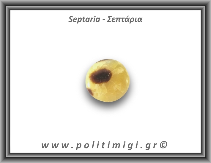 Σεπτάρια Palm Stone 43,4gr 3,5cm