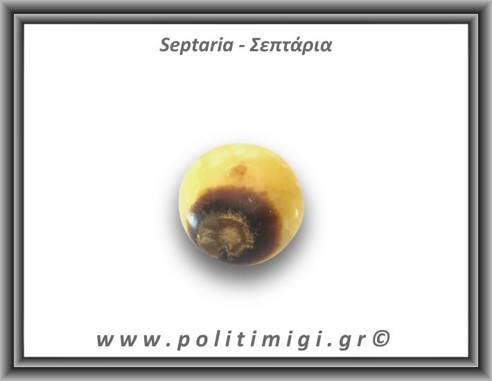 Σεπτάρια Palm Stone 43,4gr 3,5cm