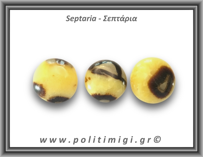 Σεπτάρια Palm Stone 46-50gr 3,5-4cm