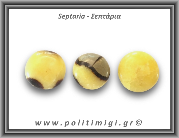 Σεπτάρια Palm Stone 46-50gr 3,5-4cm