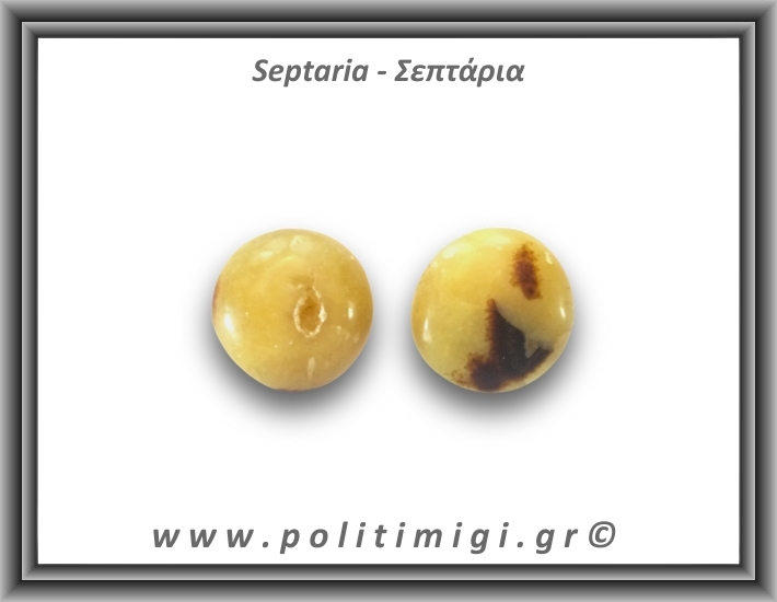 Σεπτάρια Palm Stone 46-50gr 3,5-4cm