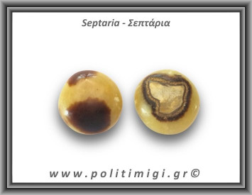 Σεπτάρια Palm Stone 46-50gr 3,5-4cm