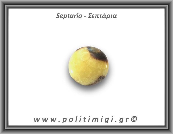 Σεπτάρια Palm Stone 54,8gr 4cm