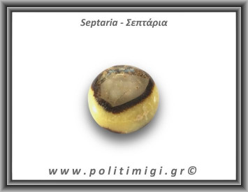 Σεπτάρια Palm Stone 54,8gr 4cm