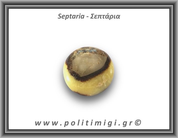 Σεπτάρια Palm Stone 54,8gr 4cm