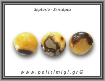 Σεπτάρια Palm Stone 56-60gr 3,5-4cm