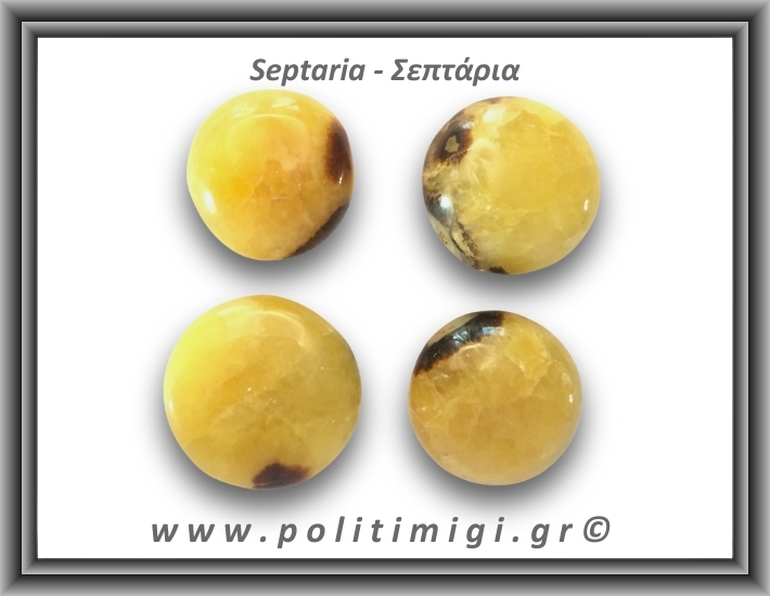 Σεπτάρια Palm Stone 56-60gr 3,5-4cm