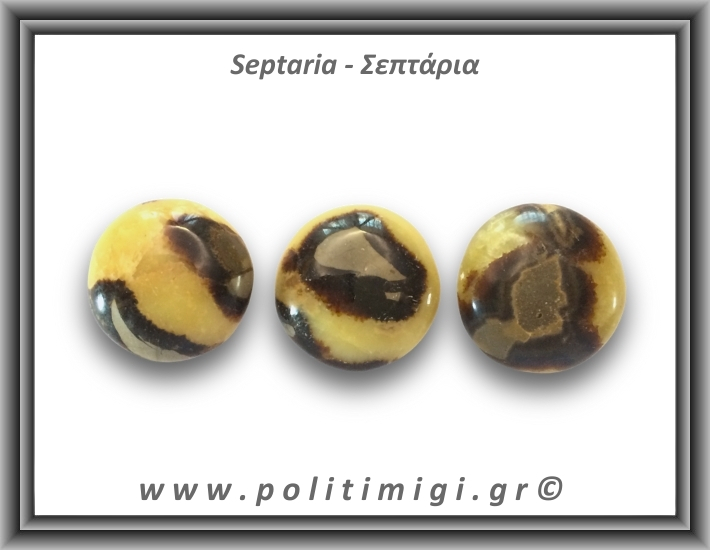 Σεπτάρια Palm Stone 61-65gr 4-4,5cm