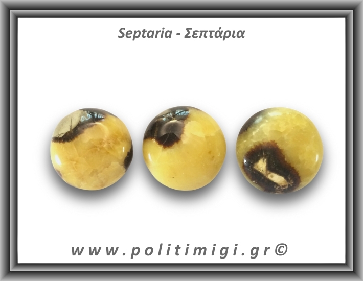 Σεπτάρια Palm Stone 61-65gr 4-4,5cm
