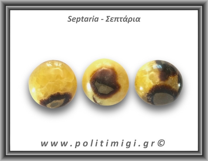 Σεπτάρια Palm Stone 61-65gr 4-4,5cm