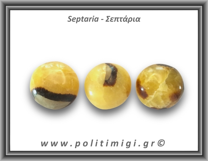 Σεπτάρια Palm Stone 61-65gr 4-4,5cm