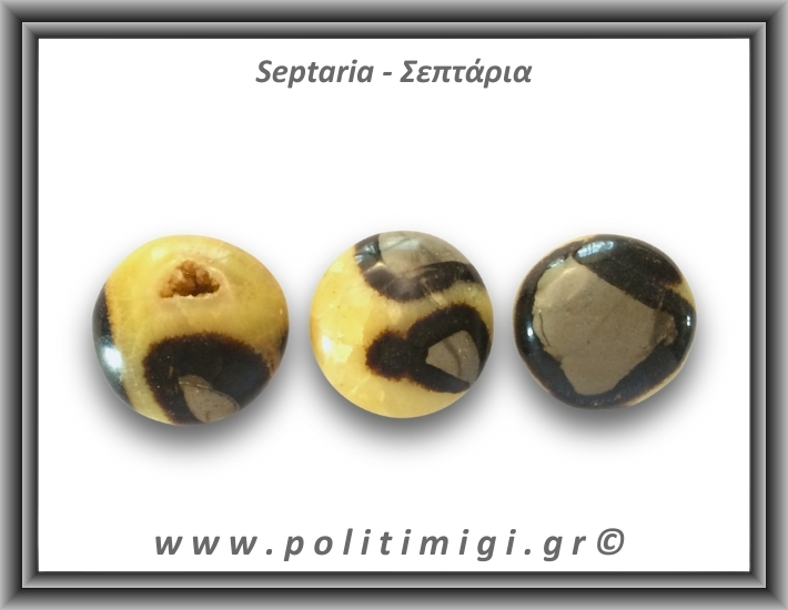 Σεπτάρια Palm Stone 61-65gr 4-4,5cm